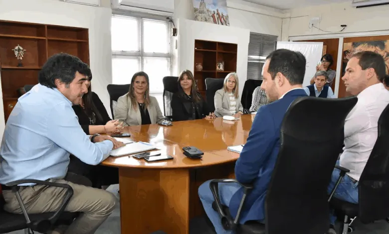 Mesa de litio Salta