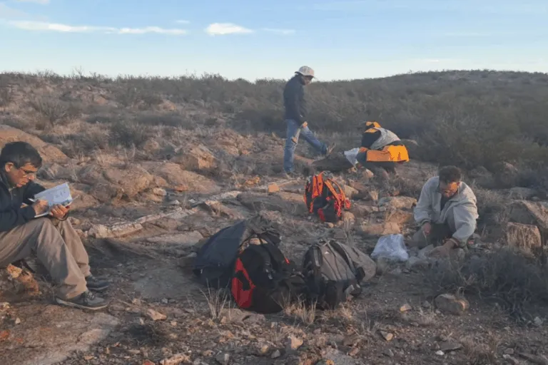 Captura-de-pantalla-2025-06-12-113905-768x512